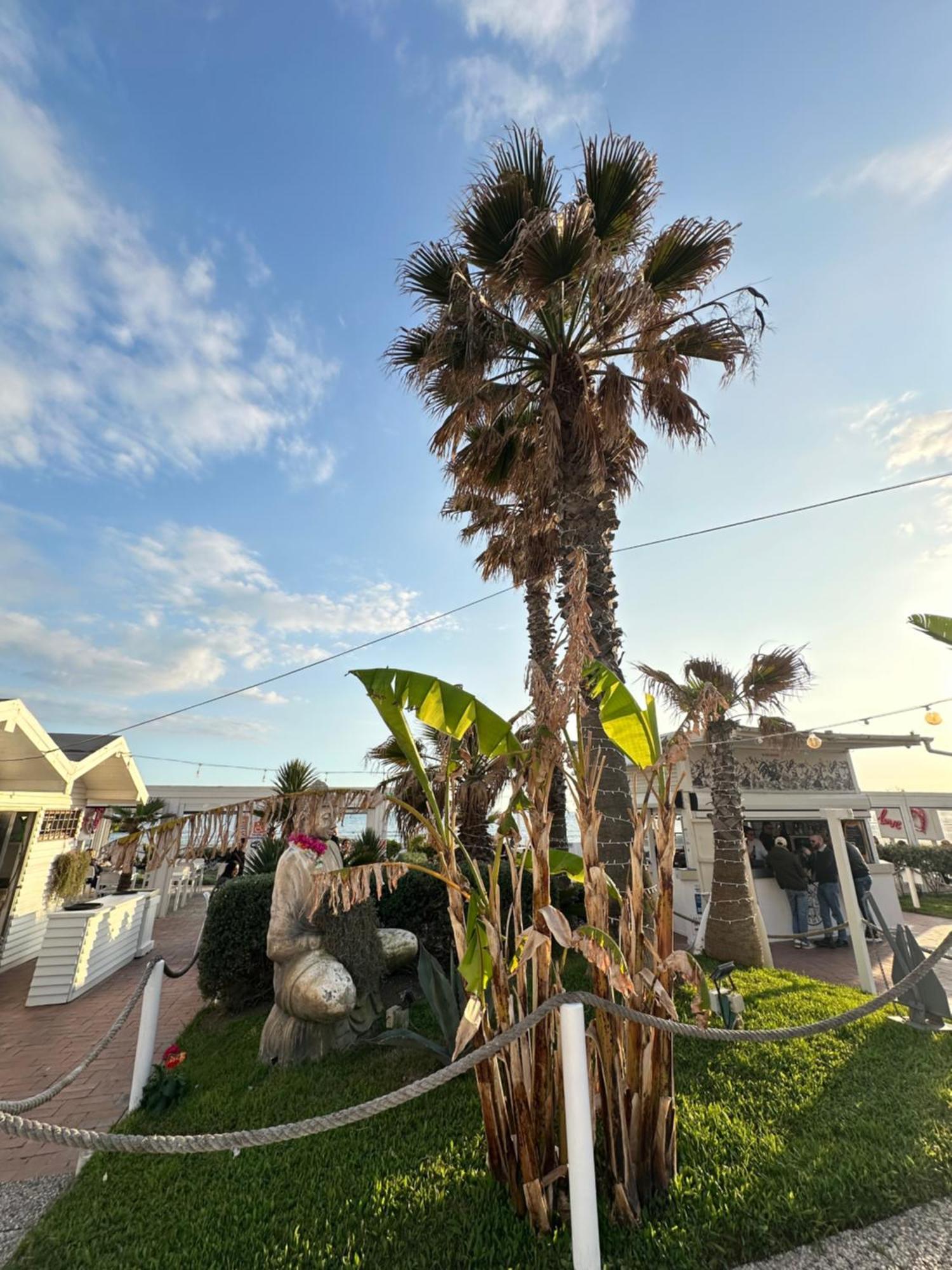 Penthouse Salus Sea View Terrace Apartment Lido di Ostia Exterior photo
